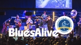 Festival Blues Alive v Šumperku získal nejprestižnější světové bluesové ocenění za dlouholetý přínos tomuto žánru 